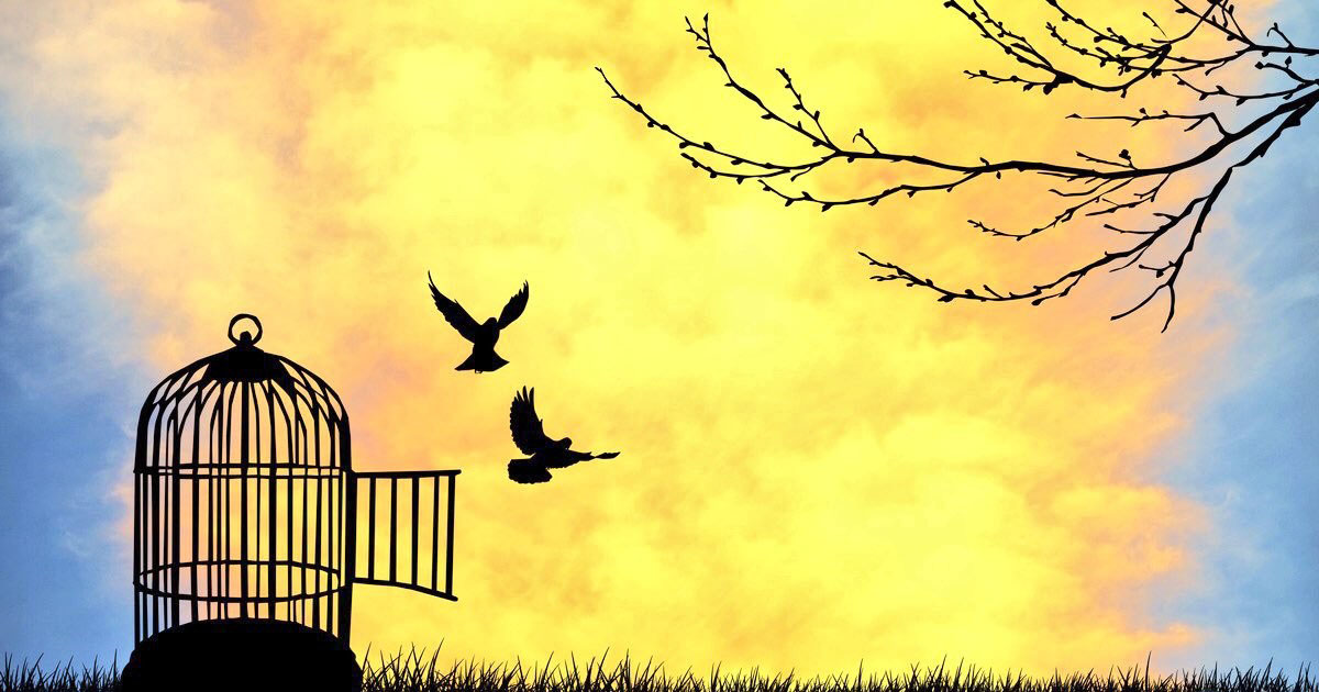 بين حريّتي والحرّية... أنا حرٌّ...