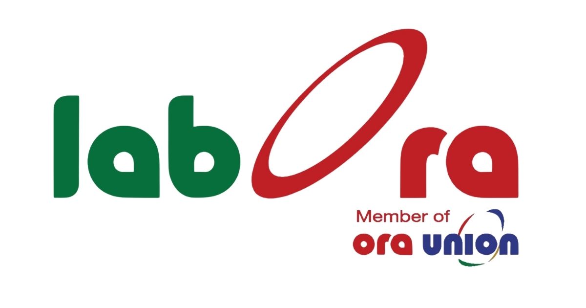 لابورا تباشر تأمين فرص عمل مؤقتة للنازحين المسيحيين في مناطق النزوح