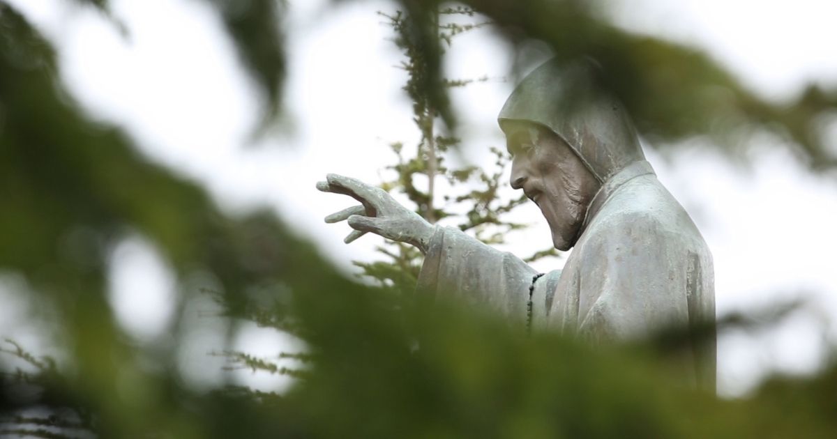 شربل والقداسة